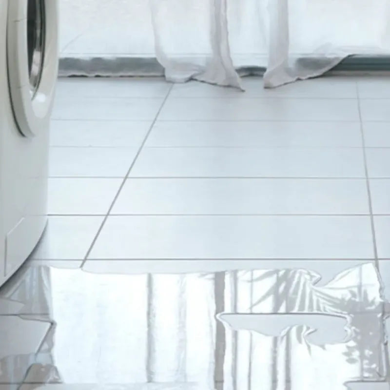 Appliance Leak Cleanup in Everson, WA