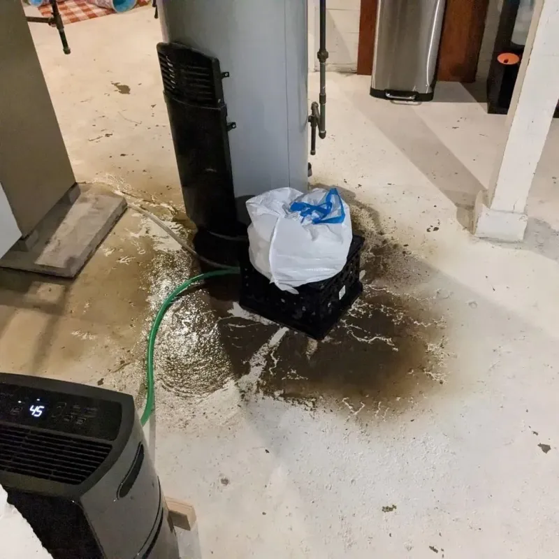 Sewage Backup Cleanup Service in Everson, WA